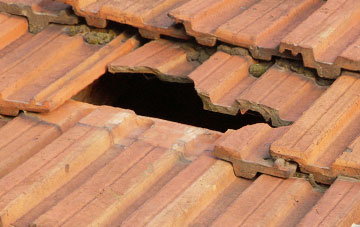 roof repair Shelvin, Devon
